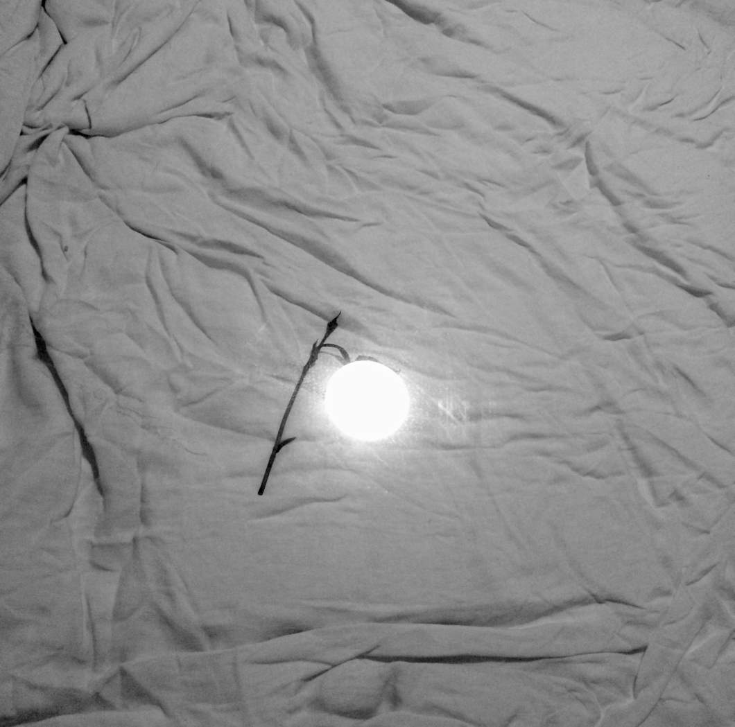 Tyler Eash (San Francisco, California, US)