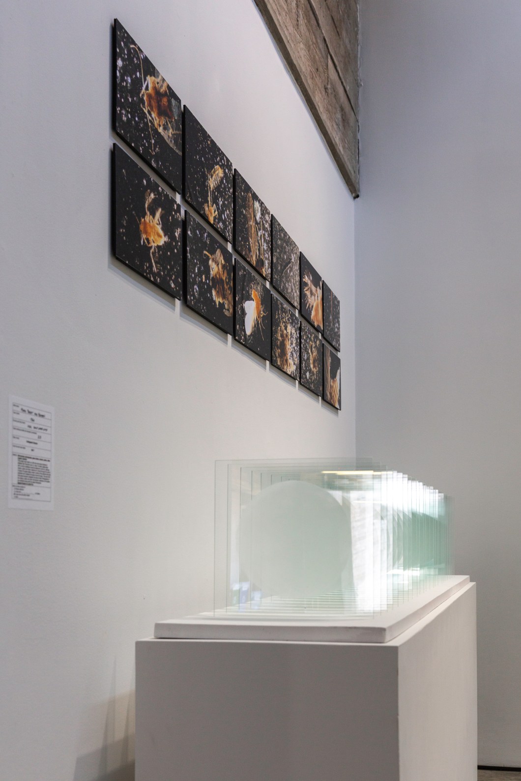 MoreThan700Years_Jun2019-10