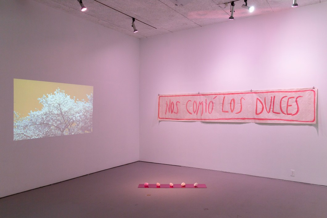 MoreThan700Years_Jun2019-13