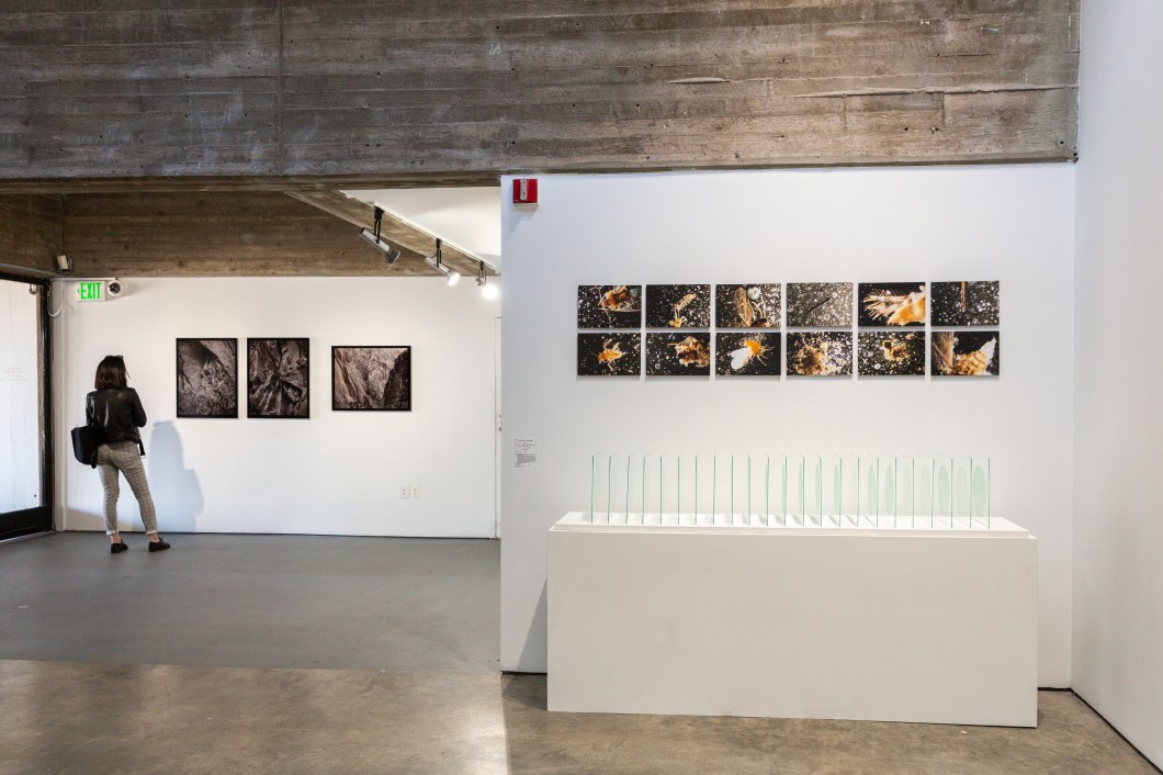 MoreThan700Years_Jun2019-8